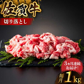 【ふるさと納税】＜毎月お届け＞【全3回定期便】佐賀牛 切り落とし 1kg（500g×2パック）【がばいフーズ】A5 A4[HCS032]