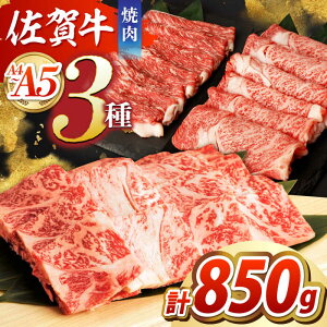 yӂ邳Ɣ[ŁzySw̃uhzꋍ ēZbgi/J^Ԑg/[Xj ygˁz[HCW002]