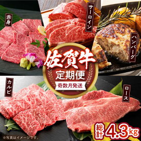 【ふるさと納税】【奇数月発送】佐賀牛リッチセレクション定期便【多久精肉店】[HCX006]