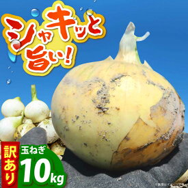【ふるさと納税】【先行予約】 訳あり 新玉ねぎ 10kg 【えぐちファーム】 [HDE002] / 食品 野菜 たまねぎ 不揃い タマネギ 玉葱 玉ネギ 小玉 中生 晩生 佐賀県 江北町