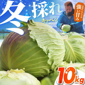 yӂ邳Ɣ[Łzys\z Lxc 10kg ygˁz[HDG001]