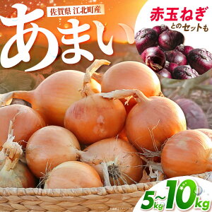 yӂ邳Ɣ[ŁzyIׂeʁz ʂ˂ 5kg / 10kg  ԋʂ˂ Ƃ̃ZbgIygˁz[HDG002] / ܂˂ ʂ˂ ^}lM ʃlM ʔK ʂ˂ ԋʂ˂  Hi Zbg lߍ킹 Y