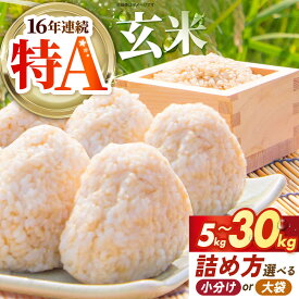 【ふるさと納税】【選べる容量】 さがびより 玄米 5kg / 10kg / 30kg 新米 【吉祥】[HDG005] / 米 玄米 げんまい 食品 お米 こめ 特A 特A米 特A評価 佐賀県 江北町 国産 送料無料