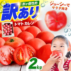 yӂ邳Ɣ[Łzy1`4z 󂠂 g}g iJj 2kg yɂ܃t@[z[HDI001]