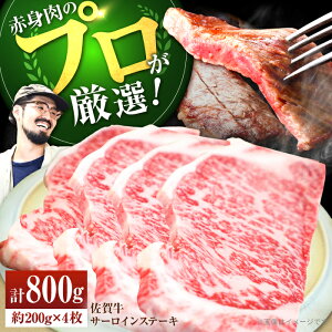 yӂ邳Ɣ[ŁzyXe[L̉lzꋍ T[CXe[L v800gi200g×4jyZgqzA4 A5 T[C a ꌧ    Ⓚ Xe[L Xe[L lC 