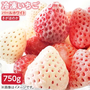 yӂ邳Ɣ[Łz ys\z Ⓚ(ق̂Ep[zCg) 750g 2̐Hה׃Zbg ynV_t@[z W Vbv X[W[ Ⓚ C`S  ʕ  t[