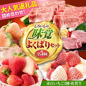 yӂ邳Ɣ[ŁzyR8N2ȍ~zyS5ցz낢̖oZbg悭΂ZbgiԔ3ƍꋍj/  ʕ t[c јa A4 A5 uh ꌧ Β [IZZ0