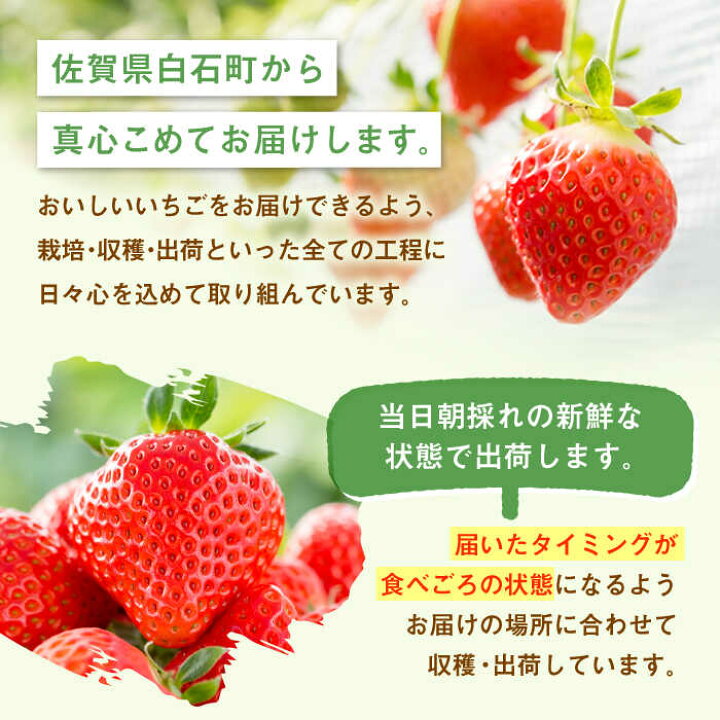 楽天市場】【ふるさと納税】【先行予約】いちごさん〈選べる容量 〉 2 