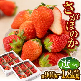 【ふるさと納税】【R8年1月以降発送】さがほのか〈選べる容量〉6パック or 12パック【道の駅しろいしカンパニー】イチゴ 苺 いちご 大容量 果物 フルーツ 佐賀県産 佐賀県 白石町 [IAA024]