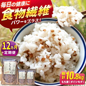 yӂ邳Ɣ[Łzyߘa6NxYzyS12ցzΎY  900gi300g×3܁j/iv10.8kgjỷw낢Jpj[z` ނ  N G G  ꌧ Β