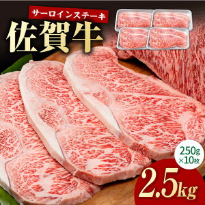 yӂ邳Ɣ[ŁzyIׂeʁzꋍ T[C Xe[L 250g`2.5kgyЂ͐XzA4 A5 Y a Y  uh ~ BBQ Ă ē    Ⓚ [IAG048]