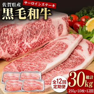 yӂ邳Ɣ[Łzy12ցzꌧY јa ґ T[C Xe[L 250g×10iv2.5kgjyЂ͐XzYa Xe[L    Ⓚ a Y lC 