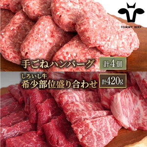 yӂ邳Ɣ[ŁzylCԗiZbgIz育˃no[O 4낢 󏭕 ēp 荇킹 420gyZgqza Y јa Ă BBQ lߍ킹 Hה 