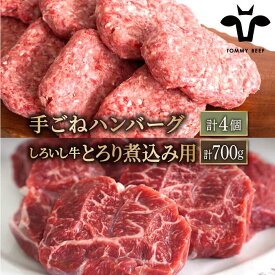 【ふるさと納税】【人気返礼品セット！】手ごねハンバーグ 4個＆しろいし牛 とろり煮込み用 700g【佐賀セントラル牧場】カレー シチュー 詰め合わせ 食べ比べ 牛肉 肉 お肉 佐賀県 白石町 白石 [IAH114]