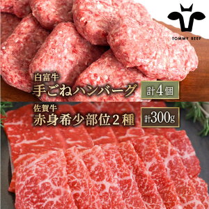 yӂ邳Ɣ[ŁzylCԗiZbgIzxno[O 4ꋍ Ԑg 󏭕 ēp v300gi150g×2pbNjyZgqzlߍ킹 Hה    ꌧ 