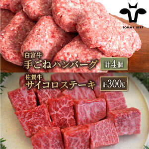 yӂ邳Ɣ[ŁzylCԗiZbgIzxno[O 4ꋍ TCRXe[L Hה v300gi150g×2pbNjyZgqzlߍ킹    Zbg Hה 