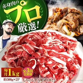 【ふるさと納税】【牧場直送】【3回定期便】佐賀県産しろいし牛 万能切落し 1kg（500g×2パック）【佐賀セントラル牧場】和牛 国産牛 黒毛和牛 お肉 肉 牛肉 冷凍 切り落とし 佐賀県 白石町 白石 [IAH133]