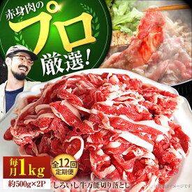 【ふるさと納税】【牧場直送】【12回定期便】佐賀県産しろいし牛 万能切落し 1kg（500g×2パック）【佐賀セントラル牧場】肉 牛肉 国産 和牛 国産牛 スライス すき焼き しゃぶしゃぶ 高評価 人気 おすすめ 定期便 定期 佐賀県 白石町 [IAH135]
