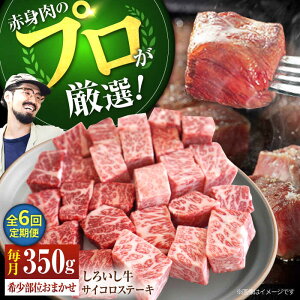 yӂ邳Ɣ[Łzyq꒼zy6ցzꌧY낢 TCRXe[Li󏭕ʁj350gyZgqza ꌧ    Ⓚ Xe[L Xe[L lC 