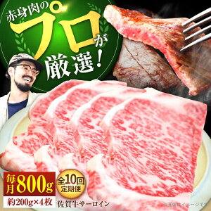 yӂ邳Ɣ[ŁzyXe[L̉lzyS10ցzꋍ T[CXe[L v800gi200g×4jyZgqzT[C ꋍ a    Ⓚ Xe[L Xe[L