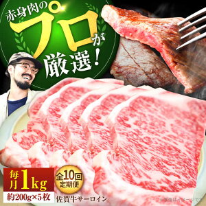 yӂ邳Ɣ[ŁzyXe[L̉lzyS10ցzꋍ T[CXe[L v1kgi200g×5jyZgqzT[C ꋍ a    Ⓚ Xe[L Xe[L