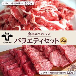 yӂ邳Ɣ[Łzyq꒼z낢 HɂꂵoGeB Zbgi؂藎Ƃ 500gēp 420gjyZgqza Y јa no[O XCX ؗ BBQ 