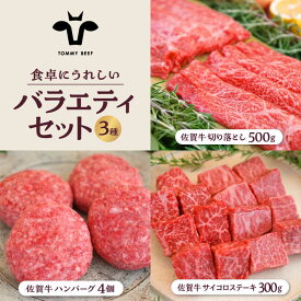【ふるさと納税】【牧場直送】佐賀牛 食卓にうれしいバラエティ セット（切り落とし 500g＆ハンバーグ 4個＆サイコロステーキ 食べ比べ 300g）【佐賀セントラル牧場】詰め合わせ 牛肉 肉 お肉 セット 和牛 切落し ステーキ 佐賀県 白石町 [IAH205]