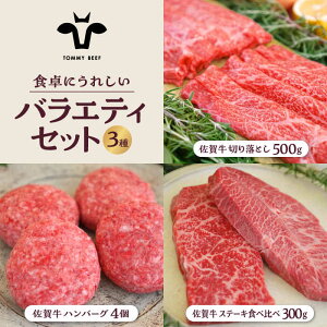 yӂ邳Ɣ[Łzyq꒼zꋍ HɂꂵoGeB Zbgi؂藎Ƃ 500gno[O 4Xe[LHה 300gjyZgqzlߍ킹    Zbg 