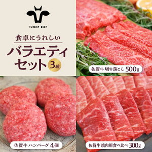 yӂ邳Ɣ[Łzyq꒼zꋍ HɂꂵoGeB Zbgi؂藎Ƃ 500gno[O 4ēpHה 300gjyZgqzlߍ킹    Zbg H