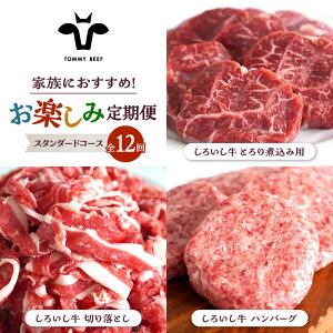 yӂ邳Ɣ[Łzyq꒼zy12ցz낢 Ƒ y ցiX^_[hR[XjyZgqza LO lC  Hה BBQ o[xL