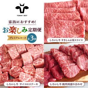 yӂ邳Ɣ[Łzyq꒼zy3ցz낢 Ƒ y ցiv~AR[XjyZgqza LO lC  Hה BBQ o[xL[ 