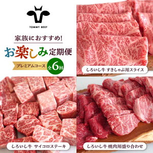 yӂ邳Ɣ[Łzyq꒼zy6ցz낢 Ƒ y ցiv~AR[XjyZgqza LO lC  Hה BBQ o[xL[ 