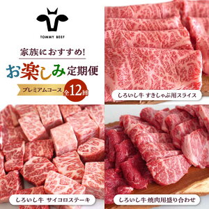 yӂ邳Ɣ[Łzyq꒼zy12ցz낢 Ƒ y ցiv~AR[XjyZgqza LO lC  Hה BBQ o[xL[ 