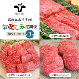 【ふるさと納税】【牧場直送】【3回定期便】佐賀牛 少人数 家族向け お楽しみ 定期便【佐賀セントラル牧場】黒毛和牛 A4 A5 詰め合わせ 牛肉 肉 お肉 セット 食べ比べ 和牛 佐賀県 白石町 [IAH215]