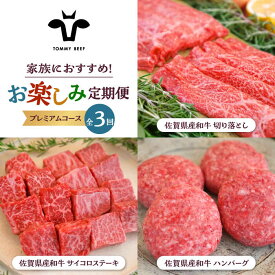 【ふるさと納税】【牧場直送】【3回定期便】佐賀県産和牛 家族向け お楽しみ 定期便【有限会社佐賀セントラル牧場】詰め合わせ 牛肉 肉 お肉 セット 食べ比べ 和牛 切落し 切り落とし サイコロステーキ ハンバーグ [IAH218]