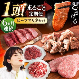 【ふるさと納税】【6回定期便】しろいし牛1頭まるごと 食卓定期便【佐賀セントラル牧場】国産 肉 お肉 牛肉 冷凍 定期配送 食べ比べ セット 詰め合わせ 佐賀県 白石町 白石 [IAH222]