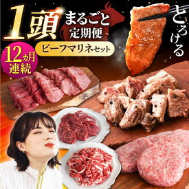 【ふるさと納税】【12回定期便】しろいし牛1頭まるごと 食卓定期便【佐賀セントラル牧場】国産 肉 お肉 牛肉 冷凍 定期配送 食べ比べ セット 詰め合わせ 佐賀県 白石町 [IAH223]