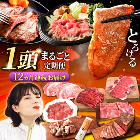 【ふるさと納税】【牧場直送】【12回定期便】佐賀県産 しろいし牛 1頭まるごと 定期便【佐賀セントラル牧場】国産 肉 お肉 牛肉 冷凍 定期配送 食べ比べ セット 詰め合わせ 佐賀県 白石町 白石 [IAH225]