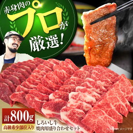 【ふるさと納税】【希少部位の赤身肉セット！】佐賀県産しろいし牛 焼肉用盛り合わせセット 800g (希少部位含む)【佐賀セントラル牧場】和牛 ランキング 人気 おすすめ 厚切り 食べ比べ BBQ バーベキュー お肉 牛肉 焼き肉 冷凍 佐賀県 白石町 白石 [IAH003]