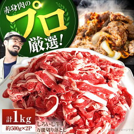 【ふるさと納税】【希少部位の赤身肉セット！】佐賀県産しろいし牛 万能切落し 1kg（500g×2パック）【佐賀セントラル牧場】肉 お肉 牛肉 切り落とし 1kg 冷凍 佐賀県 白石町 白石 [IAH005]