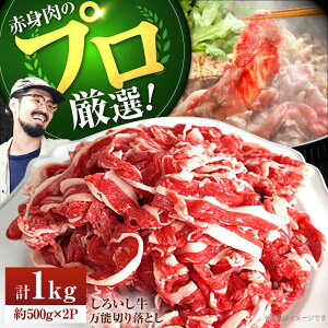 yӂ邳Ɣ[Łzy󏭕ʂ̐ԐgZbgIzꌧY낢 \ؗ 1kgi500g×2pbNjyZgqz   ؂藎Ƃ 1kg Ⓚ ꌧ Β [IAH005]