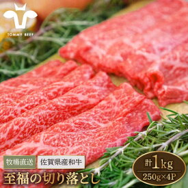 【ふるさと納税】【牧場直送】佐賀県産和牛 至福の切落し 1kg（250g×4パック）【有限会社佐賀セントラル牧場】黒毛和牛 肉 お肉 牛肉 切り落とし 1kg 冷凍[IAH006]