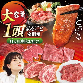 【ふるさと納税】【牧場直送】【6回定期便】佐賀県産しろいし牛 1頭まるごと定期便2【佐賀セントラル牧場】国産 肉 お肉 牛肉 冷凍 定期配送 食べ比べ セット 詰め合わせ 佐賀県 白石町 [IAH033]