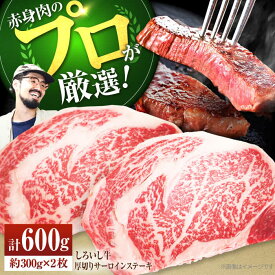 【ふるさと納税】佐賀県産しろいし牛 厚切りサーロインステーキ 計600g（約300g×2枚）【佐賀セントラル牧場】サーロイン 和牛 佐賀県 お肉 肉 牛肉 冷凍 ステーキ ステーキ肉 人気 おすすめ BBQ 佐賀県 白石町 白石 [IAH037]