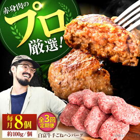 【ふるさと納税】【牧場直送】【3回定期便】岩塩と牛肉のみで作った手ごねハンバーグ 100g×7個【有限会社佐賀セントラル牧場】牛肉 ハンバーグ 個包装 無添加 惣菜 おかず 冷凍[IAH054]