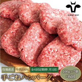 【ふるさと納税】【肉の匠】【6回定期便】白富牛 岩塩と牛肉のみで作った手ごねハンバーグ 100g×8個【佐賀セントラル牧場】牛肉 ハンバーグ 惣菜 おかず 冷凍 定期便 3回 岩塩 100% 人気 おすすめ 佐賀県 白石町 [IAH055]
