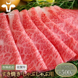 yӂ邳Ɣ[Łzyq꒼zꋍ ₫EԂԗpXCX 500gi[XEEojyZgqzA4 A5 јa    Ă ꌧ Β [IAH078]