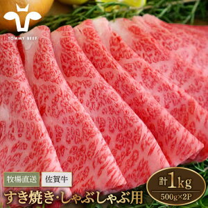 yӂ邳Ɣ[Łzyq꒼zꋍ ₫EԂԗpXCX 1kgi500g×2pbNj[XEEoyZgqzA4 A5 јa    Ă ꌧ Β 