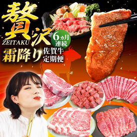 【ふるさと納税】【牧場直送】【6回定期便】佐賀牛 贅沢 定期便【佐賀セントラル牧場】佐賀牛 黒毛和牛 贅沢 A4 A5 肉 お肉 ランキング 人気 おすすめ 冷凍 ギフト 佐賀県 白石町 [IAH087]