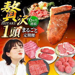 yӂ邳Ɣ[Łzyq꒼zy6ցzꋍ ґ 1܂邲ƒ Vo[R[XyZgqzA4 A5 a Y јa  ē BBQ Ⓚ ꌧ Β [IAH089]
